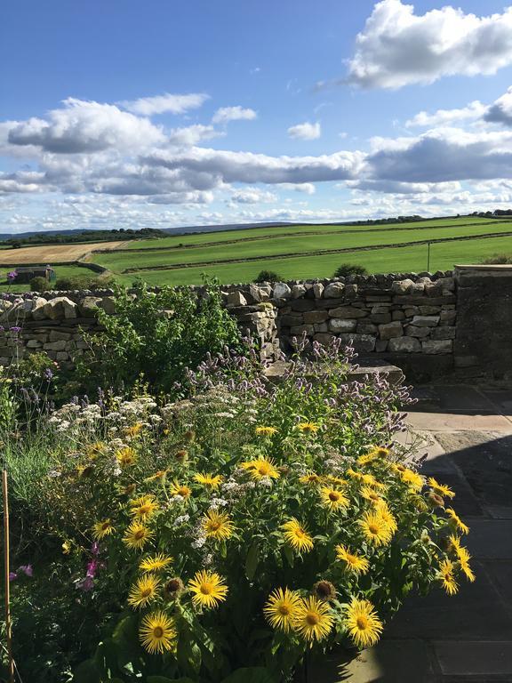 Curlew Barn Bed & Breakfast Leyburn Exterior photo